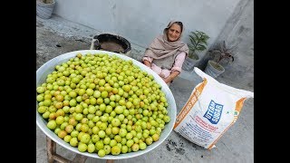 Amla Murabba Recipe Prepared By My Granny  आंवला मुरब्बा  Amla Murabba Banane ki vidhi  recipes [upl. by Issim]