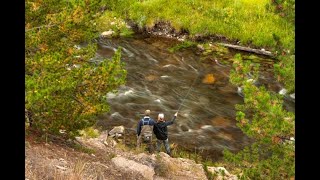 Euro Nymphing A Central PA Trout Stream with Tenkara [upl. by Ardnat]