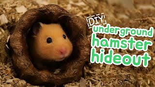 📦 Underground Hamster Hideout  HAMSTER DIY 📦 [upl. by Blondelle199]