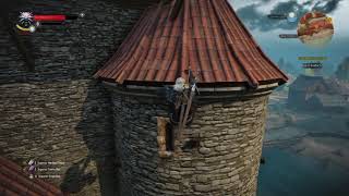 The Witcher 3 Wild Hunt find SECRET CHEST in Novigrad [upl. by Eseryt]