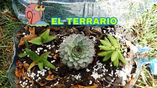 Como hacer un Terrario [upl. by Nnairek]