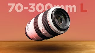 Canon EF 70300mm F456 L Zoom lens Review  Is this lens worth the price [upl. by Novyad]