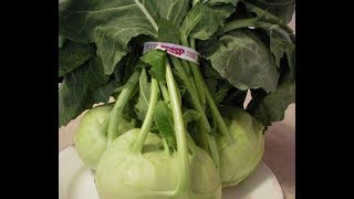 Kohlrabi 101  The Basics [upl. by Kalbli118]