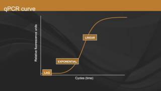 Overview of qPCR [upl. by Aiclef]