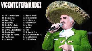 VICENTE FERNANDEZ GRANDES EXITOS 2024 [upl. by Ziegler]