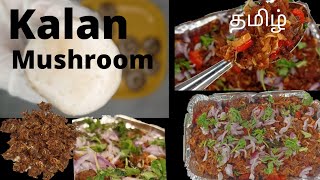 Mushroom 🍄 recipe  Kalan  தமிழ் [upl. by Herates501]