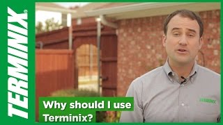 Why Choose Terminix Control Services [upl. by Rihat]