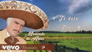 Vicente Fernández  Te Dejo Todo Cover Audio [upl. by Ardnauq]