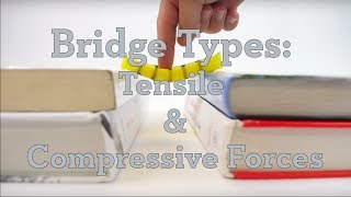 Bridge Types Tensile amp Compressive Forces [upl. by Yenrab294]