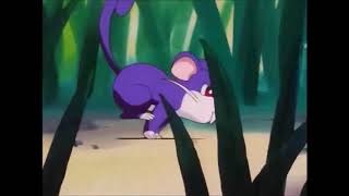 Rattata Pokédex Entry  Pokemon I Choose You [upl. by Riaj]