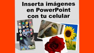 cómo insertar imágenes en PowerPoint con tu celular  How to insert images in powerpoint [upl. by Nadual]