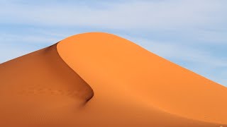 The Sahara desert  Ecosystems [upl. by Ellita]