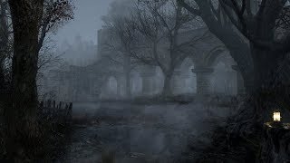 Haunted Forest Sounds  Ghostly Murmurs  1 Hour [upl. by Areikahs]