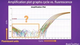 Baselines in RealTime PCR  Ask TaqMan® Ep 5 [upl. by Quintana]