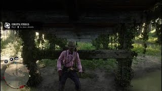 How to find and dig up fossils in rdr2 [upl. by Ilohcin910]