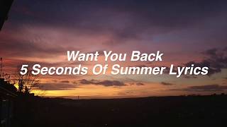 Want You Back  5 Seconds Of Summer Lyrics [upl. by Wiseman]