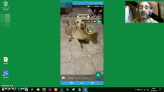 Hacer un Gif con Whatsapp  Paso a paso [upl. by Pine]