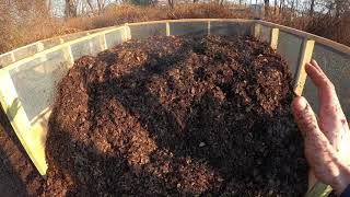 Winter Composting with Shredded Leaves [upl. by Jojo]