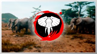 Animalia Survival  Elephant [upl. by Ahseenyt203]