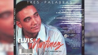 Elvis Martinez  Tu me perteneces Audio Oficial álbum Musical Tres Palabras  2002 [upl. by Nueoht]