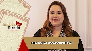 Explica Direito Filiação Socioafetiva  2019 [upl. by Eednam822]