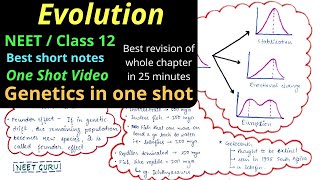 Evolution  NEET Class 12  Mind map Best summary notes  neet 2022 neet neet2022 [upl. by Sylirama]