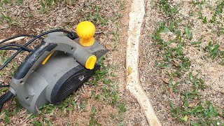 How to get rid of exposed tree roots [upl. by Eniledam]