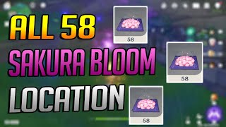 All Sakura Bloom Location For Kamisato Ayaka   Genshin Guide [upl. by Kirstin]