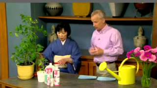 HB101 Organic Plant Vitalizer On AM Northwest KATU [upl. by Eenitsed]