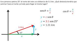 Física  Vectores de dos dimensiones  Problema 1 [upl. by Ahsikam118]