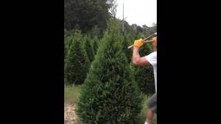 Christmas tree trimming  TwoHand [upl. by Estis]