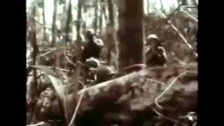 Vietnam War Documentary History Channel America Enters the War [upl. by Diantha359]