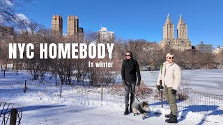 NYC homebody winter diaries apartment life amp central park magic [upl. by Newell980]