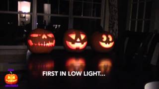 How To Make a Singing Pumpkins Halloween Display  Jack O Lantern Jamboree [upl. by Elleinwad]