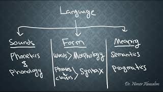 SEMANTICS2 Justifying and Locating Semantics within Linguistics [upl. by Fidel133]