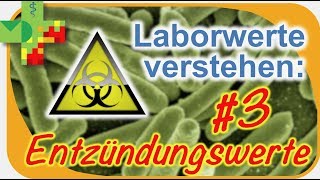 Laborwerte verstehen 3 Entzündungswerte [upl. by Cristabel]