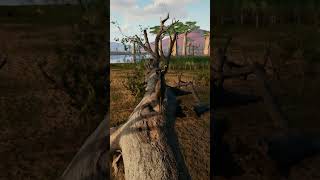 Animalia Survival Kudu Animal [upl. by Agata277]