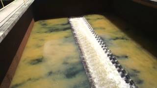 Filter backwash with air and water [upl. by Dorrej974]