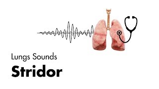 Stridor  Lung Sounds  MEDZCOOL [upl. by Gabel]