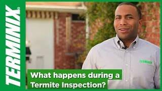 Termite Inspection Facts to Know from Terminix [upl. by Udella]