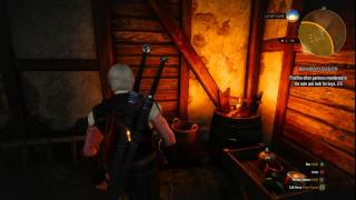 Novigrad Closed City 3rd key Location The Witcher 3 Wild Hunt [upl. by Rowen263]