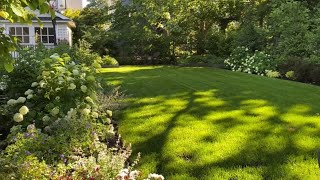 🌱 Open Lawn Garden Tour  Privacy Hedge  Y Garden 🌱 [upl. by Lamar141]