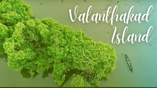 Valanthakad Island  Offbeat Attractions in Kerala  Lessexplored Places  Kerala Tourism [upl. by Redliw]