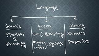 SEMANTICS1 What is Semantics [upl. by Kieger]