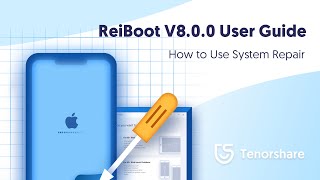 ReiBoot User Guide How to Use iOS System Repair  2021 Update [upl. by Gord115]