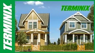 Protect Home From Termites  Terminix Commercial [upl. by Slaohcin]