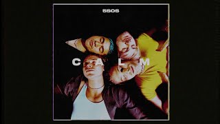 5 Seconds of Summer  CALM Official Album Trailer [upl. by Idalina]