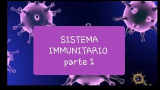 Sistema immunitario  malattie infettive [upl. by Avrenim845]