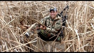 GIANT 165quot Marsh Buck  Public Land WI  Behind the Bow [upl. by Ailedua]