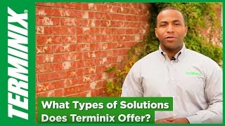 Protect Home From Termites  Terminix Services [upl. by Seaman]